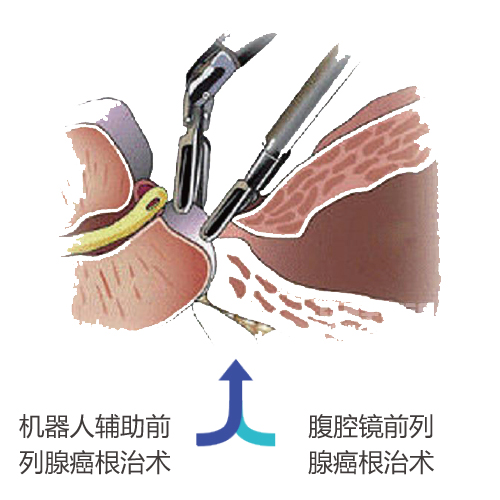 服務(wù)內(nèi)容二.jpg