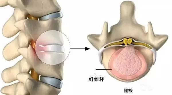 微信圖片_20190411154941.jpg